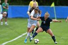Women’s Soccer vs Endicott  Women's Soccer vs Endicott College. - Photo by Keith Nordstrom : Wheaton, Soccer